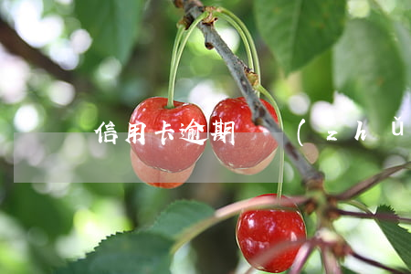 信用卡逾期讓準(zhǔn)備消費小票