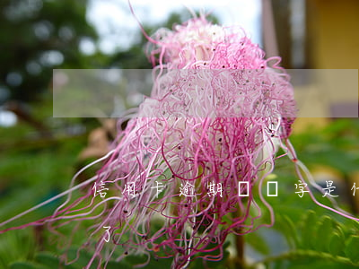 信用卡逾期讓簽字是什么(什么叫信用卡逾期了)