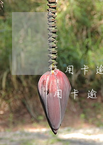 信用卡逾期讓還全款怎么協(xié)商(信用卡逾期讓還全款怎么協(xié)商還款)
