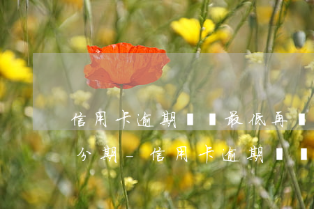 信用卡逾期讓還最低再幫申請(qǐng)分期-信用卡逾期讓還最低再幫申請(qǐng)分期是真的嗎