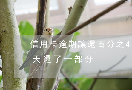信用卡逾期讓還百分之40(信用卡逾期十幾天還了一部分)