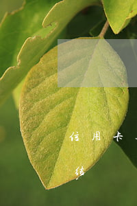 信用卡逾期让冻结了还能用吗(信用卡 逾期 冻结)