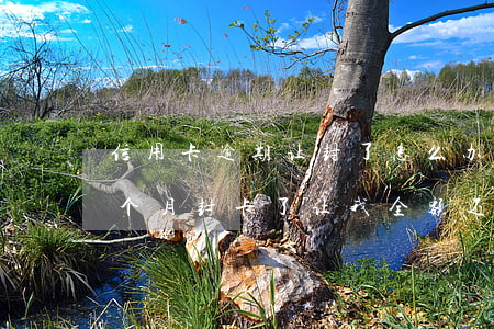 信用卡逾期让封了怎么办 信用卡9万逾期3个月封卡了 让我全额还 要不就报警