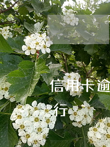 信用卡逾期让我去银行（信用卡逾期让我去银行）