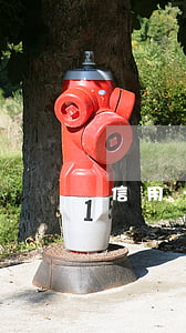 信用卡逾期记录100次(征信逾期100次)