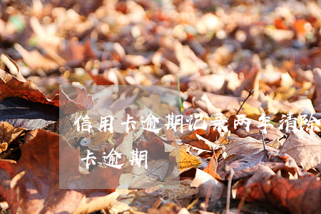 信用卡逾期记录两年清除-连续两个月信用卡逾期