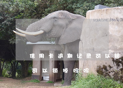 信用卡逾期记录可以销掉吗(信用卡逾期记录可以销掉吗吗)