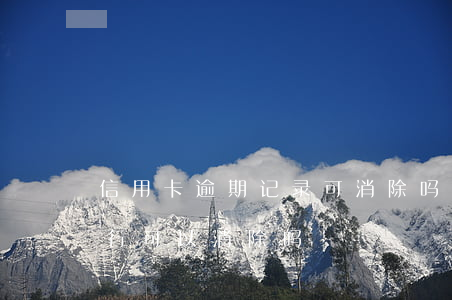 信用卡逾期记录可消除吗(信用卡逾期记录银行可以消除吗?)