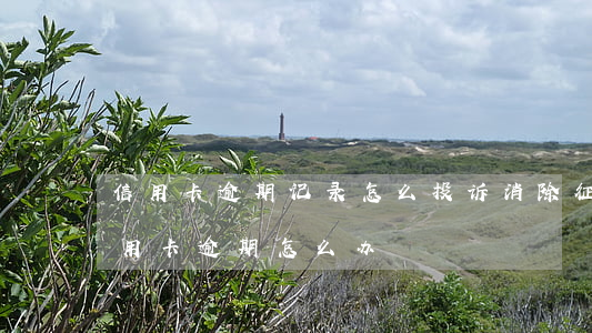 信用卡逾期记录怎么投诉消除(征信报告有信用卡逾期怎么办)
