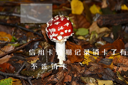 信用卡逾期记录销卡了 有过逾期的信用卡该不该销卡