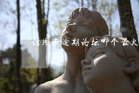 信用卡逾期论坛哪个最火(信用卡论坛排行)