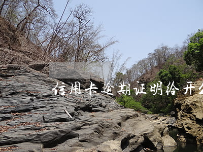 信用卡逾期证明给开么