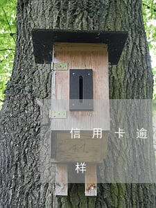 信用卡逾期评论 区(如果说信用卡逾期会怎么样)