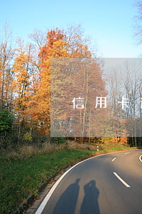 信用卡 逾期 诈骗（电信诈骗信用卡逾期）