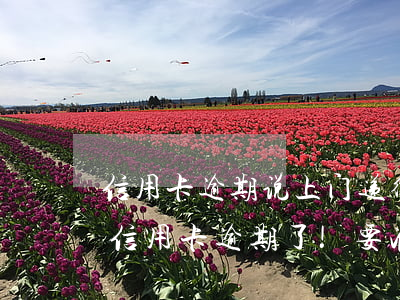 信用卡逾期说上门递律师函 律师到家里来说信用卡逾期了!要准备立案