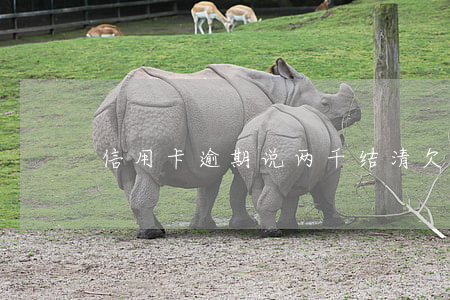 信用卡逾期说两千结清(欠信用卡两千)