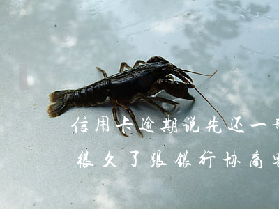 信用卡逾期说先还一部分在协商-欠信用卡很久了跟银行协商,客服让我还一部分就可以了