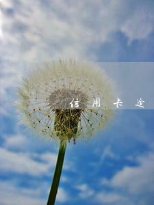 信用卡逾期说卡是无效卡怎么办