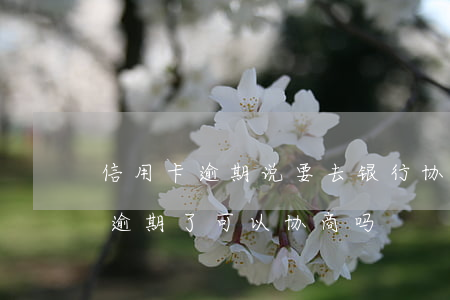 信用卡逾期说要去银行协商(4大银行信用卡逾期了可以协商吗?)