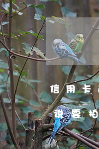 信用卡逾期说要拍卖我的房子-信用卡逾期说要拍卖我的房子是真的吗
