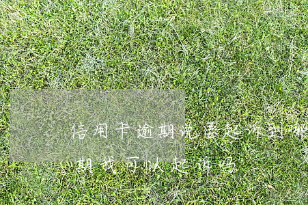 信用卡逾期说要起诉到哪里(朋友用信用卡逾期,我可以起诉吗)