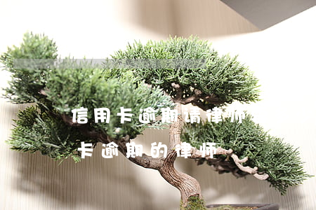 信用卡逾期请律师要多少钱(有没有处理信用卡逾期的律师)