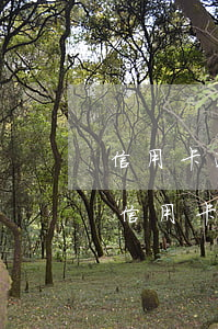 信用卡逾期谁能帮我贷款吗(如果别人用我的信用卡逾期了我还能贷款吗)