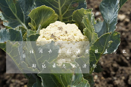 信用卡逾期调整额度怎么办(小额度信用卡逾期记录怎么清除)