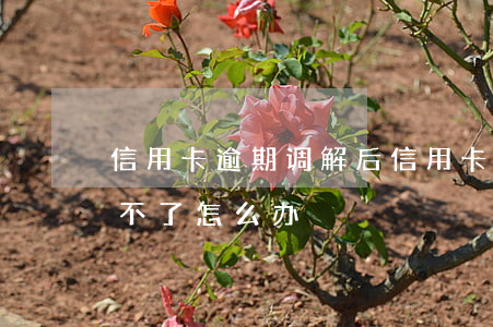 信用卡逾期调解后 信用卡逾期调解后还是还不了怎么办