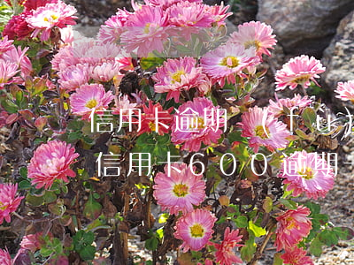 信用卡逾期負(fù)600是什么意思-信用卡600逾期一個(gè)月多少錢