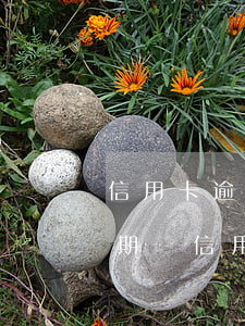 信用卡逾期負(fù)債后注意事項(貸款逾期與信用卡逾期的后果是什么)