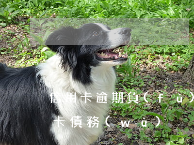 信用卡逾期負(fù)債想離婚 離婚后信用卡債務(wù)