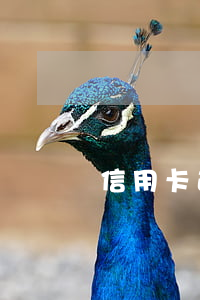 信用卡逾期負(fù)債群二維碼最新