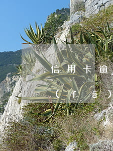 信用卡逾期負(fù)債還款有什么處罰(發(fā)生過信用卡逾期)