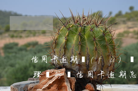 信用卡逾期負(fù)責(zé)人怎么處理(銀行對信用卡逾期怎么處理)
