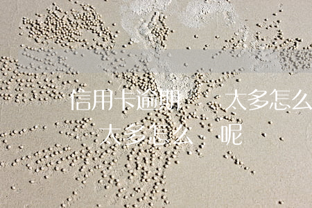信用卡逾期負債太多怎么辦-信用卡逾期負債太多怎么辦呢