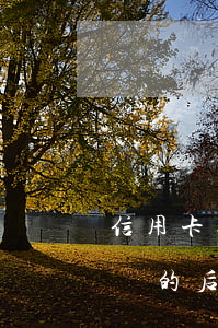 信用卡逾期負債的后果嚴重嗎(信用卡逾期負債的后果嚴重嗎知乎)