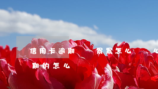 信用卡逾期負債累累怎么辦(這么多信用卡逾期的怎么辦)