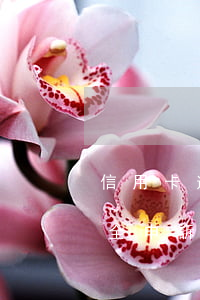 信用卡逾期財(cái)產(chǎn)保全申訴