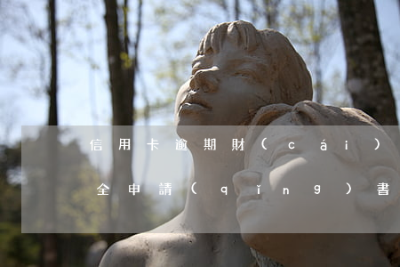 信用卡逾期財(cái)產(chǎn)保全申請(qǐng)書(財(cái)產(chǎn)保全執(zhí)行申請(qǐng)書范本)