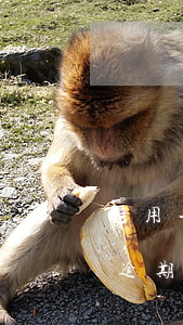 信用卡逾期貧困戶協(xié)商-信用卡逾期貧困戶協(xié)商還款電話