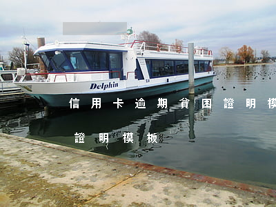 信用卡逾期貧困證明模板范文(欠款逾期貧困證明模板)