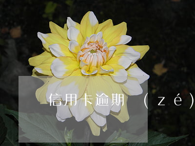 信用卡逾期責(zé)任劃分(“信用卡逾期”)