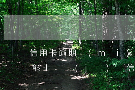 信用卡逾期買(mǎi)了飛機(jī)票能上飛機(jī)嗎（信用卡逾期起訴飛機(jī)）