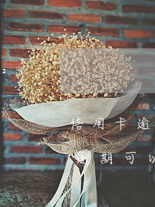 信用卡逾期買(mǎi)房貸不了款(信用卡逾期可以貸款買(mǎi)房子嗎)