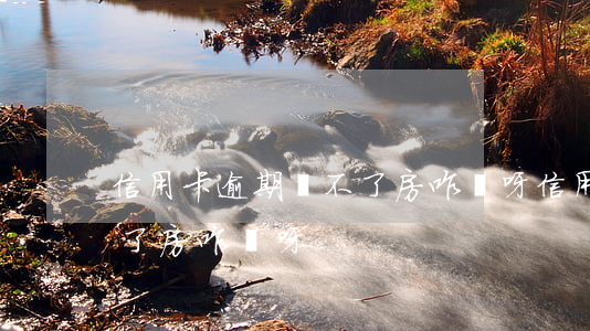 信用卡逾期買不了房咋辦呀(信用卡逾期買不了房咋辦呀)