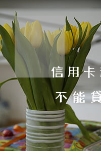 信用卡逾期買房不能貸款嗎(信用卡逾期買房不能貸款怎么辦)