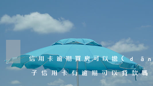 信用卡逾期買房可以擔(dān)保貸(買房子信用卡有逾期可以貸款嗎)