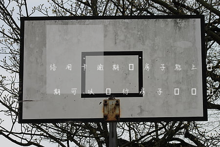 信用卡逾期買房子能上戶嗎(房主有信用卡逾期可以進行房子過戶嗎)