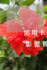 信用卡逾期買車會影響嗎(信用卡逾期一個月影響買車嗎)
